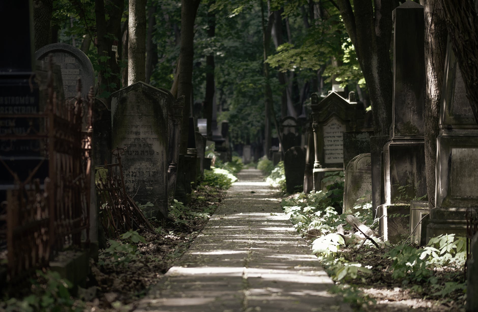 tombstones in cemetery